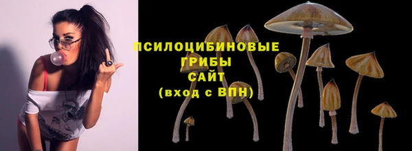 мяу мяу кристалл Кострома
