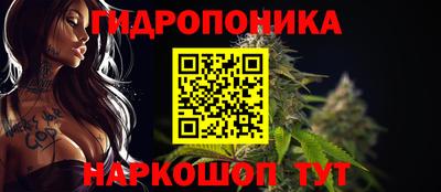 PSILOCYBIN Славгород