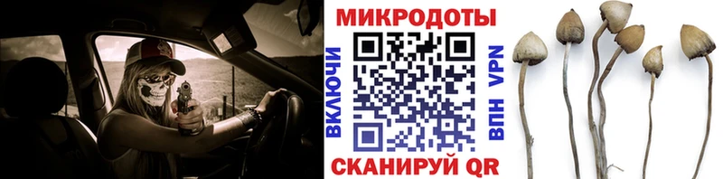 мориарти телеграм  Саянск  Псилоцибиновые грибы MAGIC MUSHROOMS 